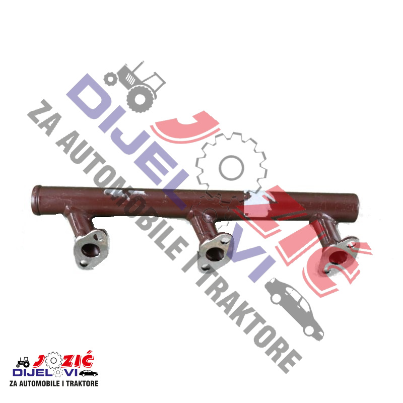 Daisy on the Ohoopee